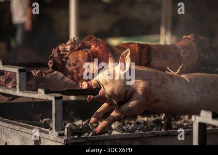 Selektive Unschärfe auf dem Kopf eines gerösteten Schweins, eines jungen Schweins, auf einem traditionellen Grill Serbiens, auf dem Balkan, genannt Pecenje. Schweinefleisch ist traditioneller Braten Stockfoto