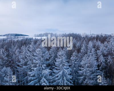 Ein Blick aus der Luft zeigt einen dichten Wald von Fichten, bedeckt mit Frost und Schnee im Hochland, Tschechien an einem bewölkten Tag. Stockfoto