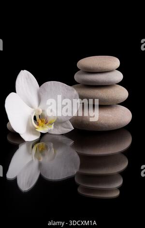 Künstlerische Komposition mit einem Stapel aus ausgewogenen, glatten Steinen und einer zarten weißen Orchideenblüte auf einer reflektierenden schwarzen Oberfläche. Natürliche Elemente Promotin Stockfoto