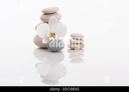Zen Stillleben mit gestapelten Steinen und einer einzelnen weißen Orchideenblüte, die auf der Oberseite mit einer Reflexion auf einer weißen Oberfläche, isoliert auf weißem bac, balanciert ist Stockfoto