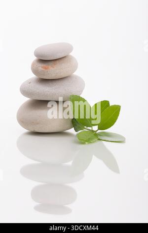 Nahaufnahme eines Stapels von ausgeglichenen glatten Steinen mit grünen Blättern als Konzept für Harmonie, Balance und Reinheit. Aufgenommen im Studio, in neutralen Farben auf A Stockfoto