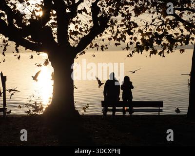 Silhouette eines Paares auf einer Parkbank unter einem großen Baum bei Sonnenuntergang am See Stockfoto