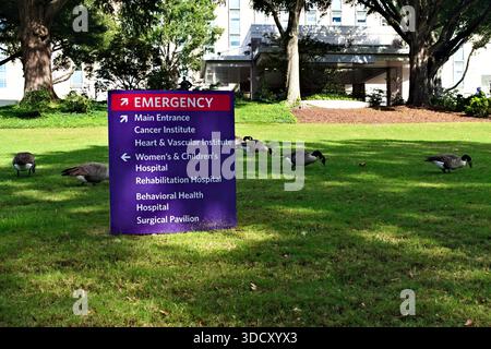 Wilmington, NC – 2. Oktober 2025: Ein Richtungsschild, umgeben von Gänsen, vor dem New Hanover Regional Medical Center von Novant Health. Stockfoto