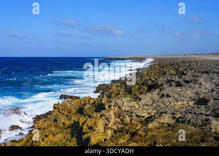 Wilde und zerklüftete felsige Küste mit stürzenden Wellen an der Leeward Coast von Bonaire im Washington-Slagbaai National Park Stockfoto