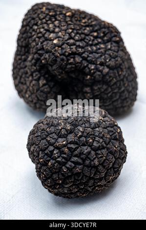 Köstliche Pilze, frische schwarze Sommertrüffelpilze aus Italien für die Zubereitung von Trüffelgerichten mit leckerem Aroma, kulinarisches Restaurant in Frankreich Stockfoto