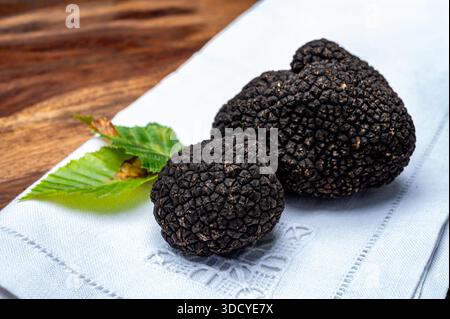 Köstliche Pilze, frische schwarze Sommertrüffelpilze aus Italien für die Zubereitung von Trüffelgerichten mit leckerem Aroma, kulinarisches Restaurant in Frankreich Stockfoto