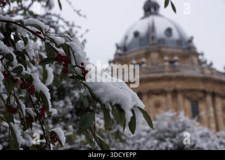 Radcliffe Kamera im Winter 2021, Oxford, Großbritannien Stockfoto