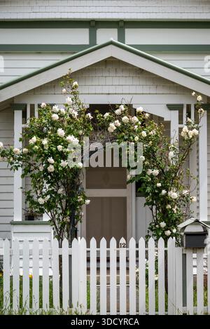 Niedliches Haus mit weißem Pflückzaun und weißen Kletterrosen, die den Eingang umrahmen, Richmond, Hobart, Tasmanien, Australien Stockfoto