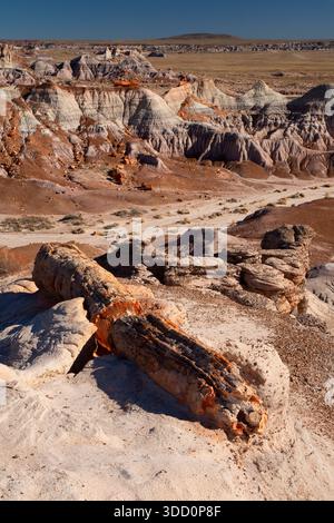 Blick auf die blaue Mesa mit versteinertem Holz, versteinerter Wald National Park, Arizona Stockfoto