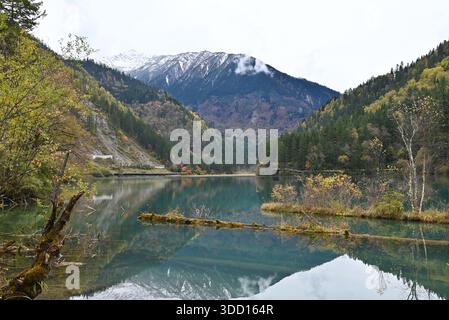 Blick auf den See und die schneebedeckten Berge mit grünen und gelben Bäumen im Herbst Stockfoto