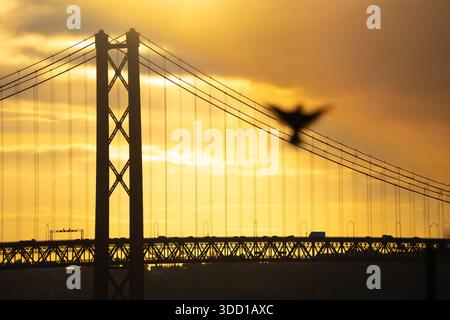 25 de Abril Bridge Sonnenaufgang über dem Fluss Tejo, Lissabon Alcantara Portugal – Wahrzeichen mit verschwommener Taube im Vordergrund Stockfoto