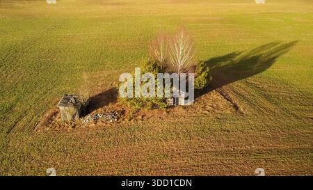 Drohnenansicht von verlassenen Holzschuppen umgeben von Bäumen auf einem offenen landwirtschaftlichen Feld Stockfoto