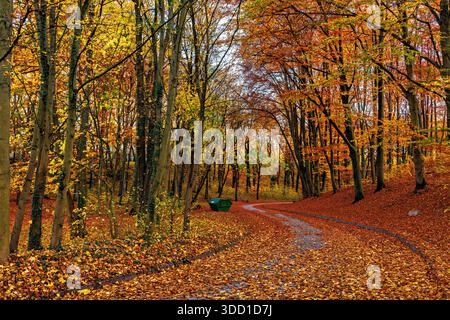 Ein gewundener Pfad schlängelt sich durch einen Herbstpark, goldene Ahornblätter verstreut und bedecken den Boden und die Wege. Herbstlandschaft. Gelb-orange Palette Stockfoto