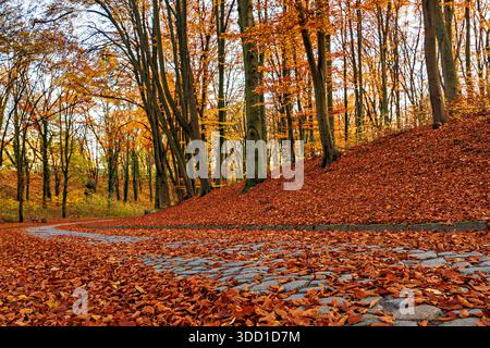 Ein gewundener Kopfsteinpflasterweg ist mit herbstgelben Blättern übersät, und goldene Ahornblätter sind gefallen und bedecken den Boden. Herbstlandschaft. Gelb-ora Stockfoto
