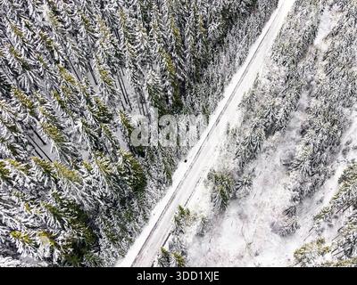 Von oben aus der Vogelperspektive auf die schneebedeckte Straße, die durch dichten Winterwald führt. Minimalistisches Naturmuster mit Kiefern, kalte Wetteratmosphäre A Stockfoto