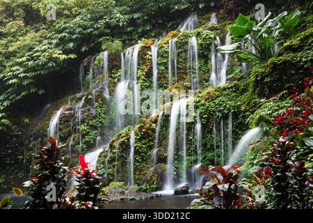 Malerischer Wasserfall, der über moosige Felsen stürzt, umgeben von Dschungel-Laub Stockfoto