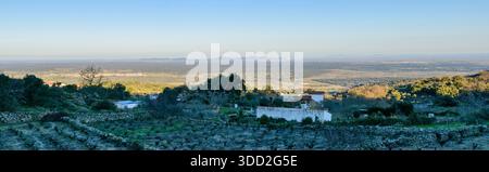 Ultrabreiter Panoramablick von Montanchez Sierra über Weinberge, Bauernhäuser und die weiten Ebenen der Extremadura unter klarem Winterhimmel. Stockfoto