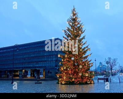 Abendlicher Blick auf den großen Weihnachtsbaum am Rathausplatz in Riga, Lettland Stockfoto