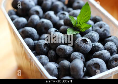 Frische Heidelbeeren mit Minzblättern und Wassertröpfchen Stockfoto