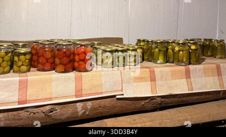 Hausgemachtes Gemüse im Keller Stockfoto