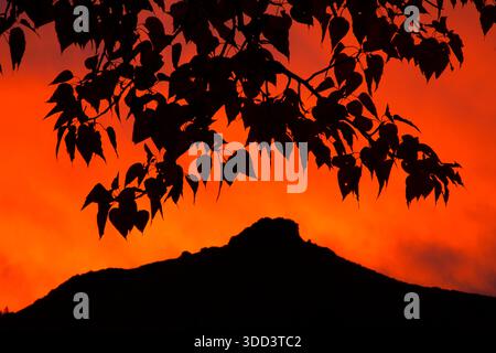 Sonnenaufgang in Cottonwood, Picknickbereich am Sun Peak, Twin Falls District Bureau of Land Management, Idaho Stockfoto