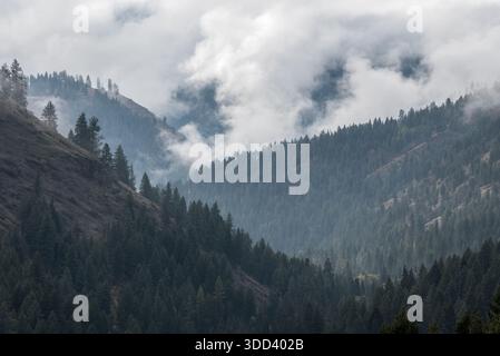 Niedrige Wolken im Minam River Canyon, Wallowa Mountains, Oregon, USA. Stockfoto