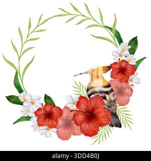 Kreisförmiger tropischer Kranz mit Wiedehopf Vogel, Hibiskusblüten, Plumeria und grünen Blättern auf weißem Hintergrund, Illustration für Einladungen, g Stockfoto