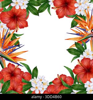 Tropischer Rahmen mit Hibiskus, Plumeria und Paradiesvogel Blumen mit grünen Blättern auf weißem Hintergrund, Illustration für Einladungen, gr Stockfoto
