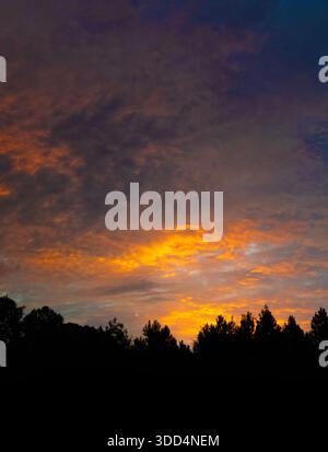 Der dichte Wald wird von einem hellen Sonnenaufgang in leuchtendem Orange in North Carolina umrahmt. Stockfoto