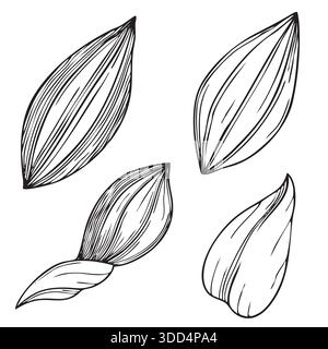 Handgezeichnete Blätter grafische Illustration im Skizzenstil auf weißem Hintergrund Stock Vektor