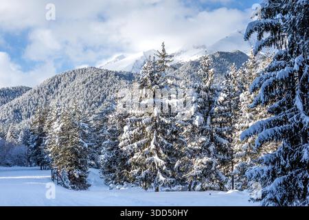 Bansko, Bulgarien, bulgarisches Winterski-Resort Panorama mit Winterskipiste und Blick auf die Berggipfel Pirin Stockfoto