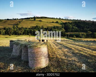 Goldene Heuballen ruhen auf sanften Feldern in der Nähe von Blairgowrie und fangen die ruhige ländliche Schönheit der schottischen Landschaft im warmen Abendlicht ein Stockfoto