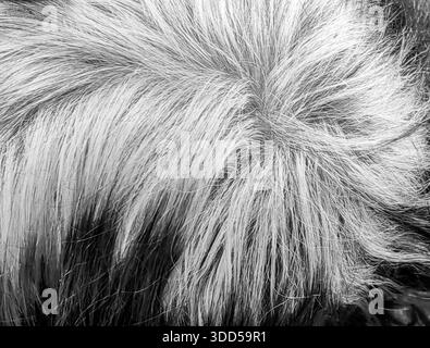 Traces of Time. Monochrome hues. Stockfoto