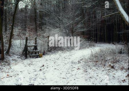 Ein schneebedeckter Wanderweg schlängelt sich durch einen Wald an einem verwitterten Holzstiel vorbei. Stockfoto