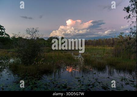 Früher Sonnenuntergang auf dem Loop Road Scenic Drive in den Everglades, Florida Stockfoto