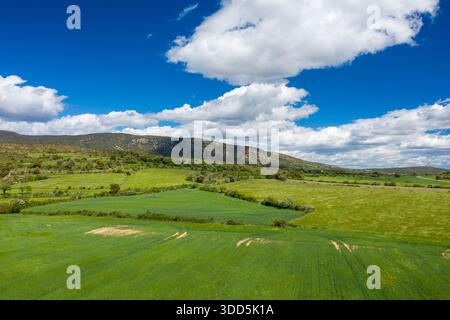 Ausgedehnte grüne Felder erstrecken sich in Richtung sanft abfallender Hügel unter einem leuchtend blauen Himmel voller geschwollener weißer Wolken in der Nähe von Bierge, Spanien. Die Landschaft ist üppig und lebendig, was ein Gefühl von Ruhe und offenem Raum weckt. Stockfoto
