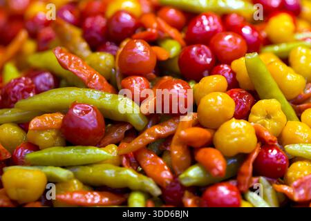 Nahaufnahme eines Stapels verschiedener Paprika-Arten, in Brasilien bekannt als pimenta-de-cheiro, was auf das scharfe Aroma und den Geschmack andeutet Stockfoto
