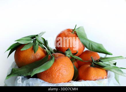 Gruppe frischer Clementinen oder Mandarinen mit isolierten Blättern auf weißem Hintergrund. Gesunde Ernährung. Stockfoto