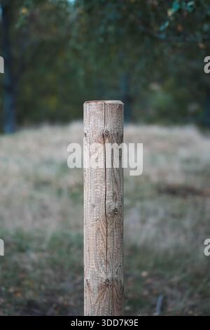 Holzstange. Teil eines Zauns. Pfosten in den Boden gepflanzt, um einen Bereich abzugrenzen. Holz mit Rissen und Knoten. Stockfoto