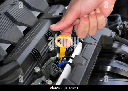 Prüfen des Ölstands im Fahrzeugmotor Stockfoto