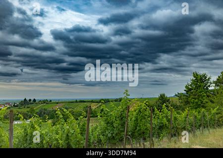 Ein Blick auf die Landschaft mit einem dunklen, bewölkten Himmel und einem Feld mit üppigem Grün. Stockfoto