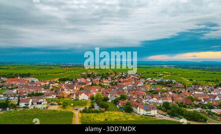 Ein malerischer Blick aus der Vogelperspektive auf eine deutsche Stadt und die umliegenden Weinberge, die die landwirtschaftliche Schönheit der Region verdeutlichen. Stockfoto