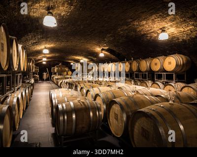 Ein Blick auf eine Reihe von Weinfässern in einem Keller, beleuchtet von Deckenleuchten. Stockfoto