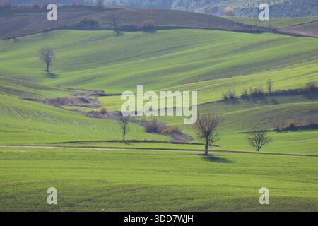 Panoramablick auf lebendige grüne Rolling Hills und landwirtschaftliche Felder unter einem klaren blauen Himmel in der ländlichen Türkei Stockfoto