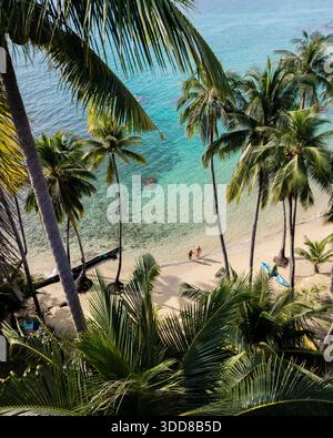 Frisches türkisfarbenes Wasser umgibt sanft das Ufer, während Palmen in der Brise auf Koh Kood Island schweben. Besucher genießen den ruhigen Strand, umgeben von Natur unberührter Schönheit unter einem klaren blauen Himmel. || Modell freigegeben Stockfoto