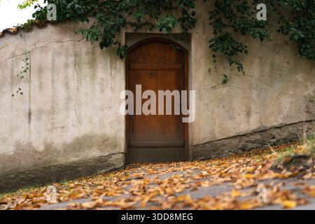 Holztür in Betonwand mit herabfallendem Herbstlaub Stockfoto