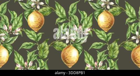 Nahtloses Muster blühende Zitrone gelbe Frucht Aquarell Hand gezeichnet Zitruszweig mit Blättern und Blumen dunkler Oliven Hintergrund Stockfoto
