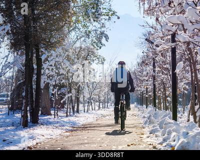 Rückansicht eines Radfahrers, der an einem Wintertag entlang eines Radweges zwischen schneebedeckten Bäumen fährt. Er trägt einen Fahrradhelm und einen Rucksack. Aktives wi Stockfoto