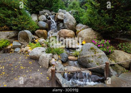 Ein ruhiger Blick auf den sanften Bach, der durch den Japanischen Garten im Lithia Park fließt, umgeben von lebhaftem, farbenfrohem Herbstlaub Stockfoto