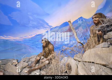 Steinzeit, Höhlenmenschen-Ära-Gruppe auf Felsen. Ein Diorama im Fergana Regional Museum of Local Lore. Im Fergana-Tal, Usbekistan. Stockfoto